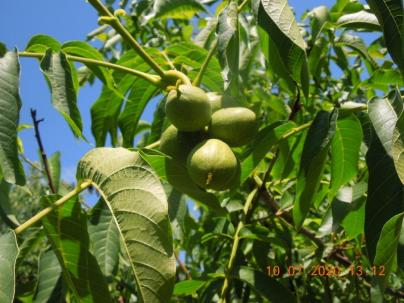 DSCN5684.JPG