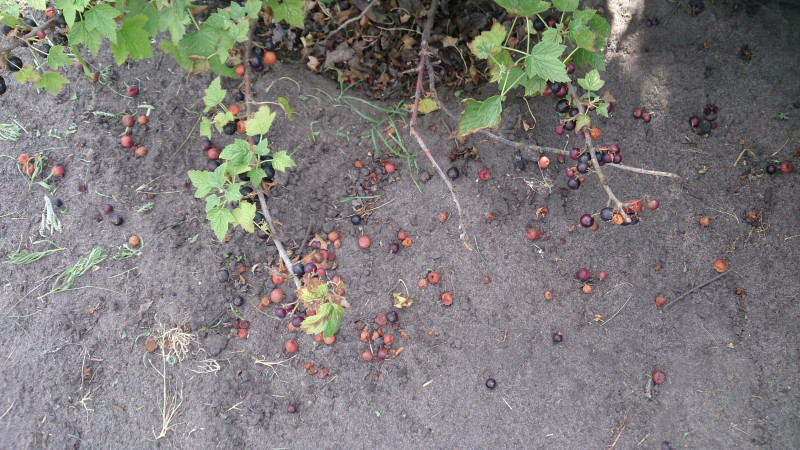 07,07,20 (24).jpg