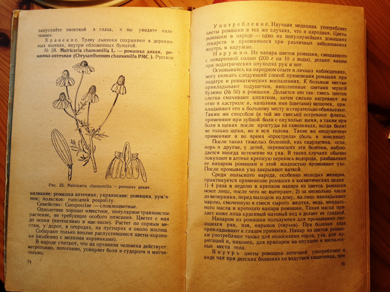20200717_160135.jpg