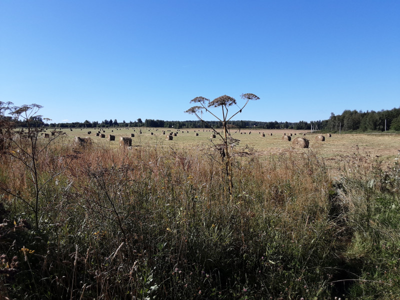20200821_093908.jpg