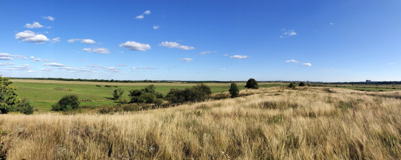 P00821-160905.jpg