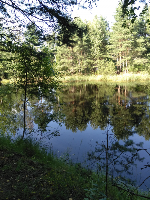 IMG_20200728_165431.png
