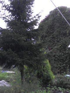 DSC_0000300.jpg