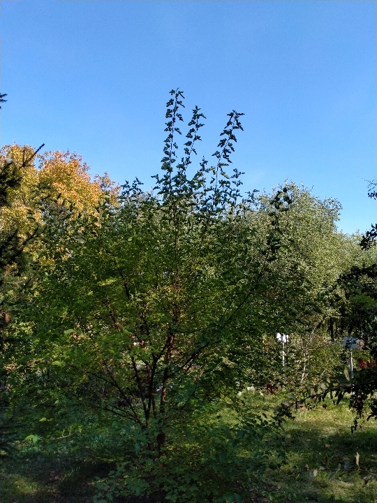 IMG_20200913_180736.jpg
