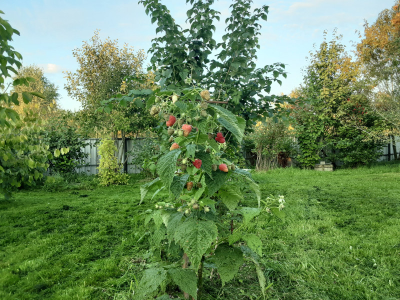 20200916_180808.jpg