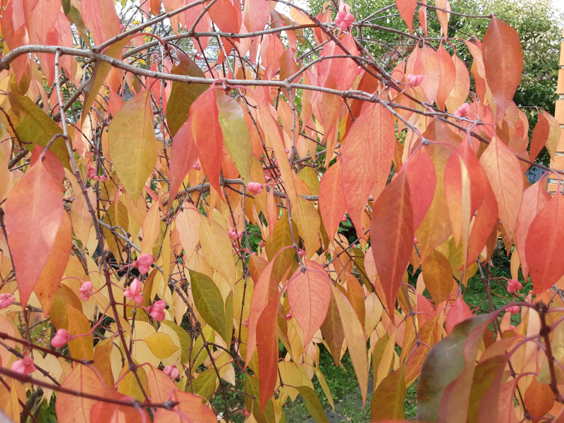 20200924_161400.jpg
