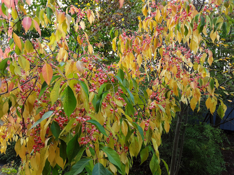 20200924_161255.jpg