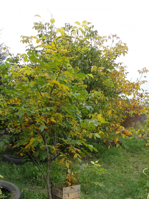 DSC07130.JPG