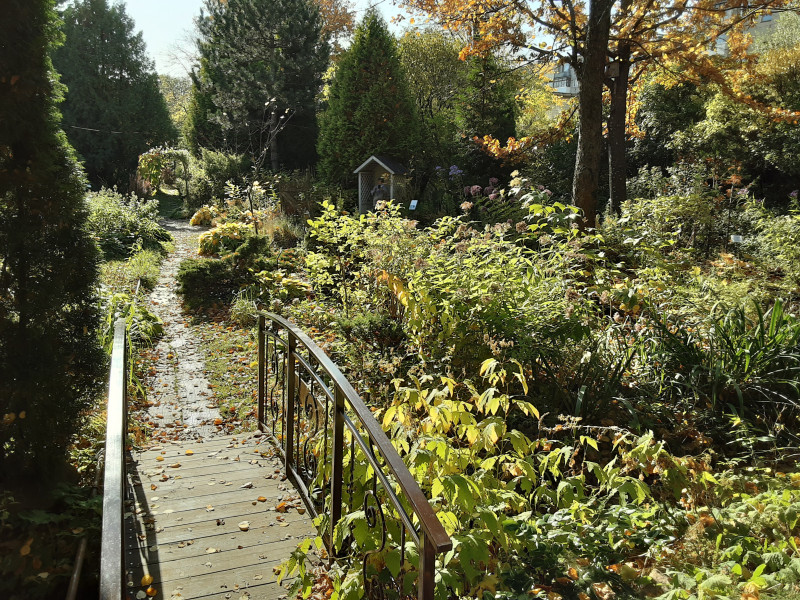 20201001_131718.jpg