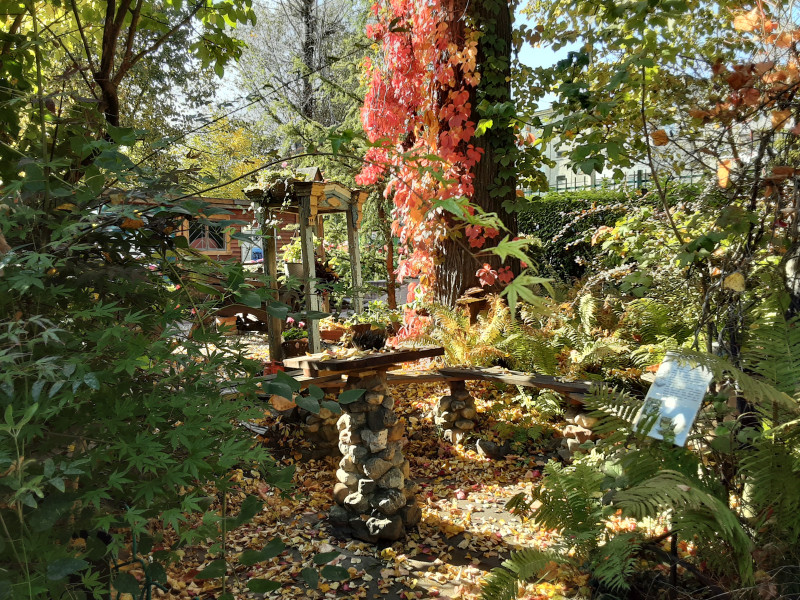 20201001_122519.jpg