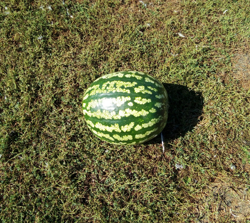 P80917-112323(1).jpg