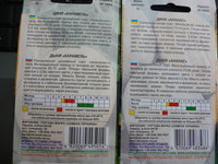 P1020844.JPG
