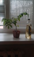 IMAG0157.jpg