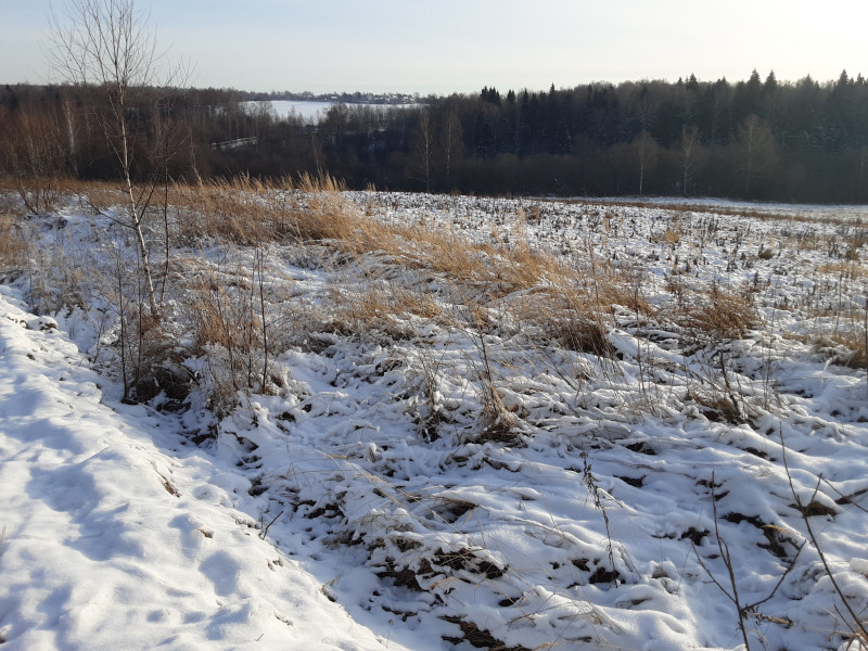 20201211_113546.jpg