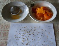 1200 DSCF0757_cr.jpg