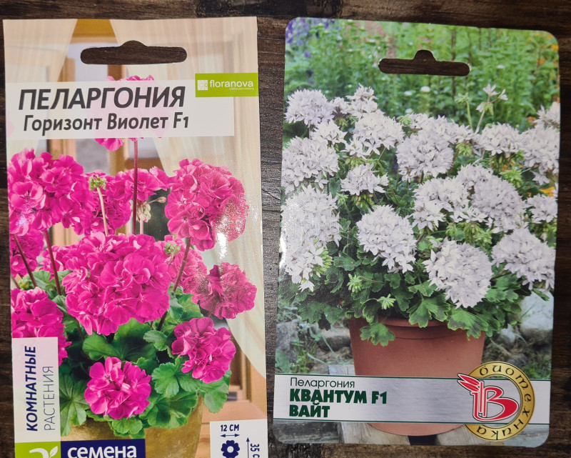 Пеларгонии, семена-20210111.jpg