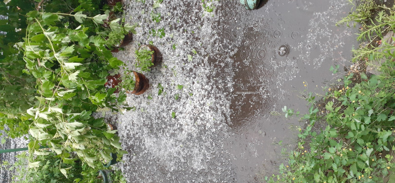 Вот такой был град 27.06.2020