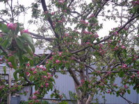DSCN5263.JPG