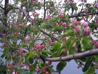 DSCN5264.JPG