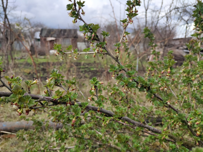 P10501-141136.jpg