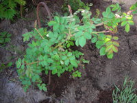 DSCN7260.JPG