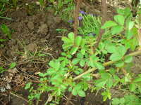 DSCN7213.JPG