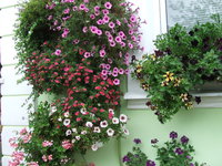 DSCF5838.JPG