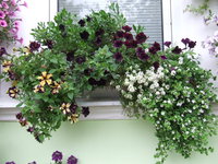 DSCF5840.JPG