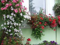 DSCF5842.JPG