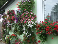 DSCF5843.JPG