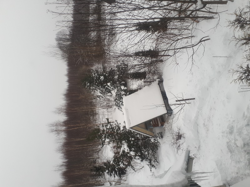 20220105_135444.jpg111.jpg