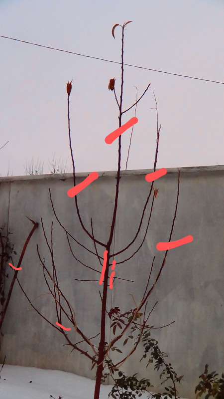 DSC02882~2.JPG