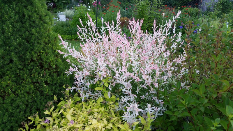 20210625_063813.jpg