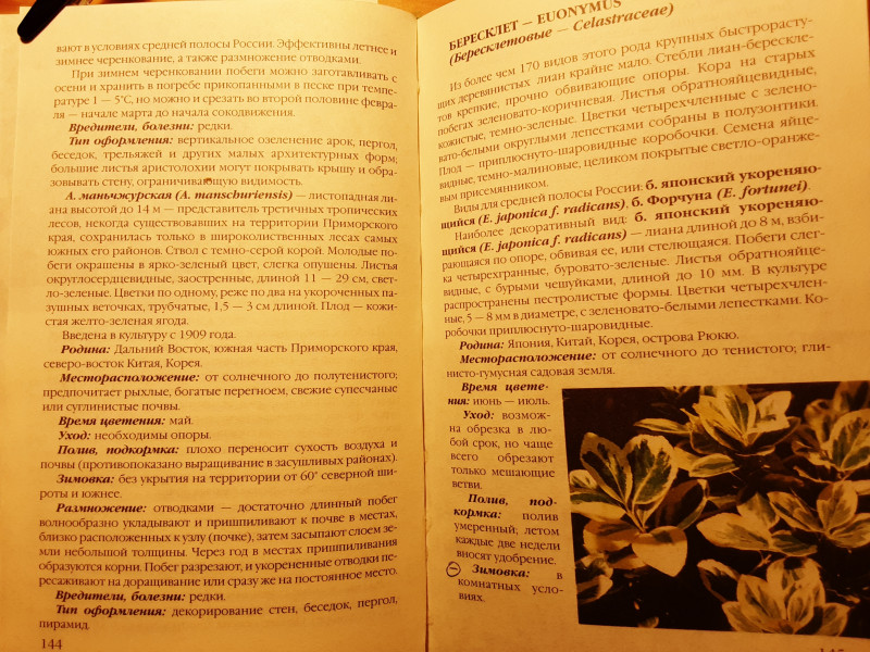 20220117_193110.jpg