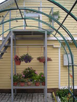 DSCN5659.JPG