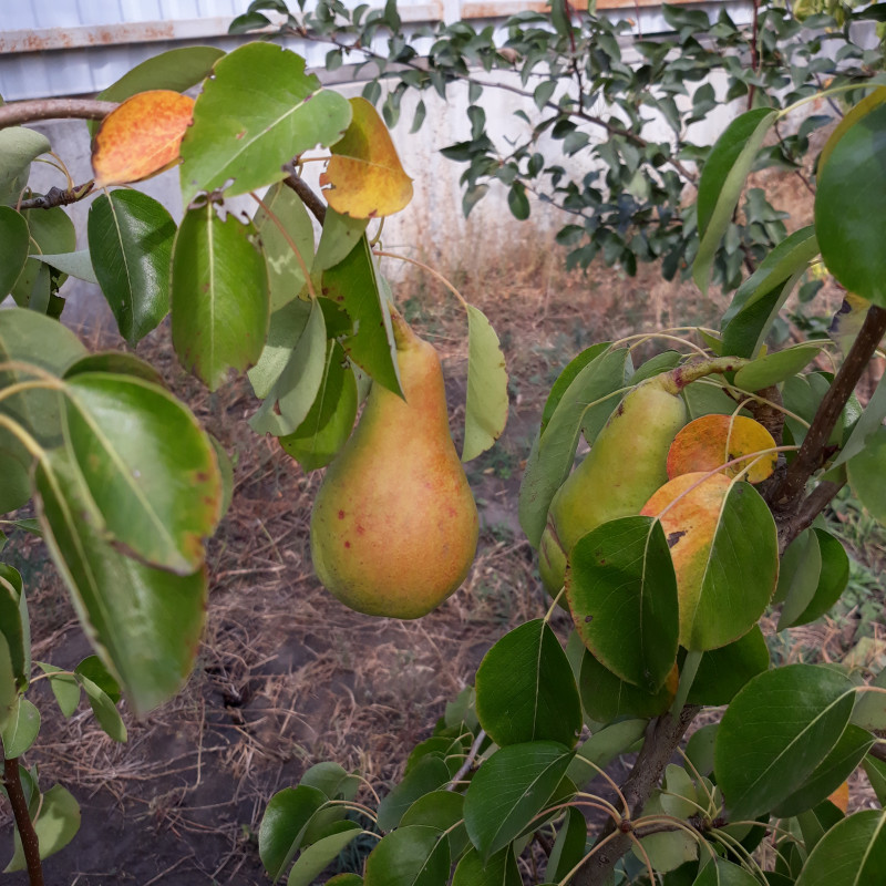 20201001_144028.jpg