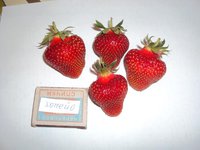 DSC02282.JPG