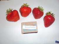 DSC02283.JPG