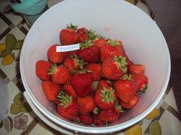 DSC02284.JPG