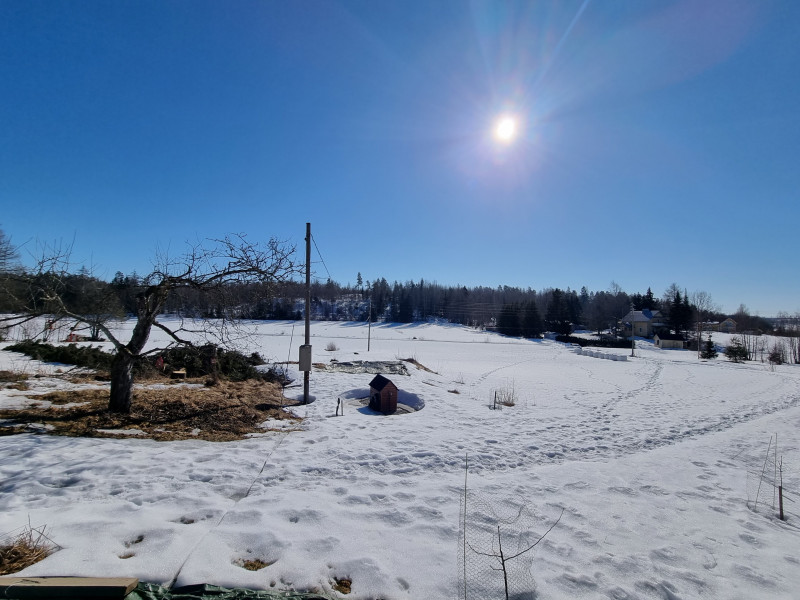 20220319_124049.jpg