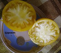 P1010163.JPG