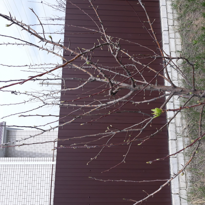 20220416_115428.jpg