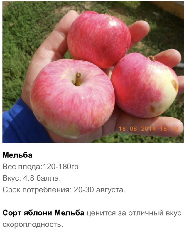 73BFD1D9-ACE4-4A01-9154-26AC53EFFE6D.jpeg