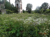 июль 2014 067.jpg
