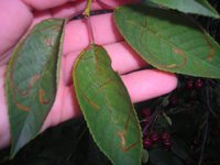DSCN5772.JPG