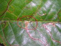DSCN5791.JPG
