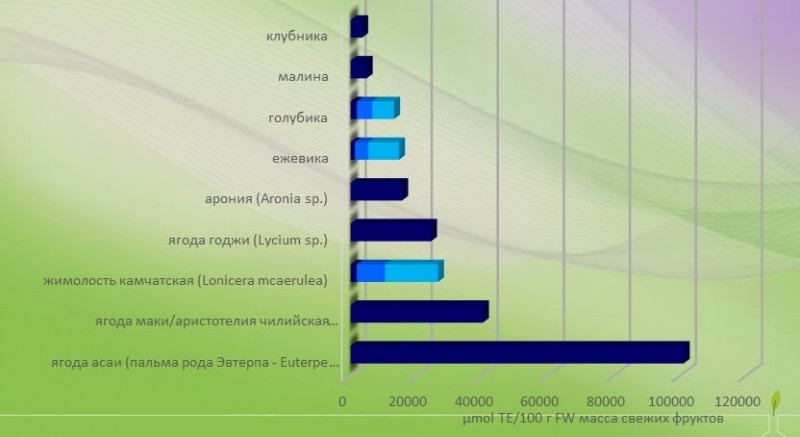 Slajd14-TAC-RU.jpg