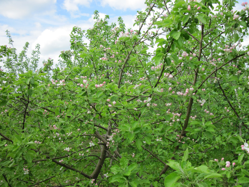 IMG_9274.JPG