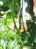 Resize of Rotation of Rotation of IMG_0747.JPG