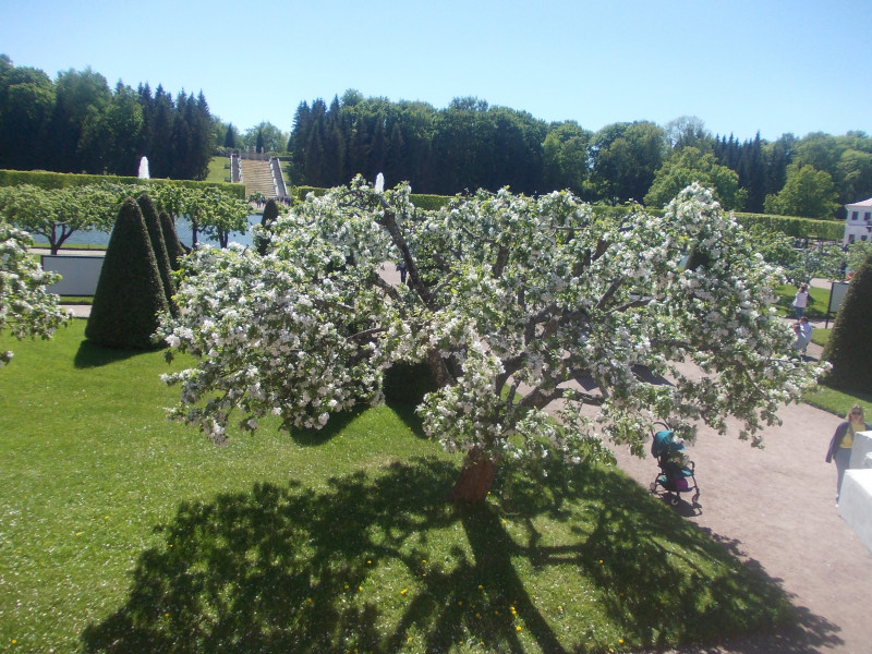 DSCN0415.JPG